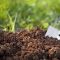 Soil with a garden trowel