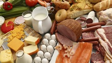 Large group of foods