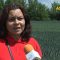 С Амино Експерт Импулс постигаме перфектни посеви от пшеница и рапица