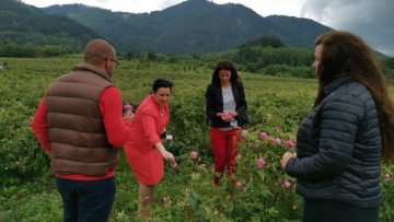 74405221image_4__623x416_q85_crop_subsampling-2_upscale