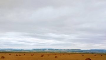 74814355farmfieldWEB