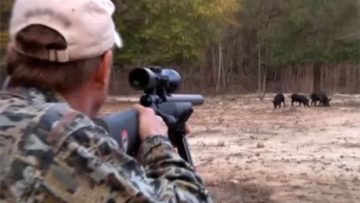 74924822hunting_34346346
