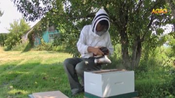 75041233komentar_19_07_2016