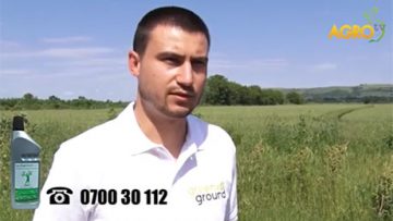 752657485685685685685686