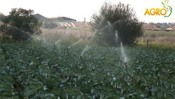 75350634irrigation_agriculture