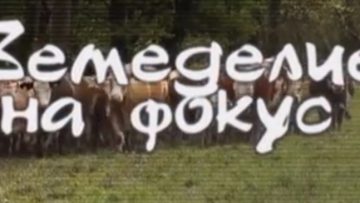 757421511468788440161770gBIJ