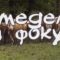 Земеделие на фокус: Ирландският опит в месодайното говедовъдство, автор Анета Божидарова
