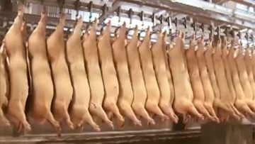 75806881meat