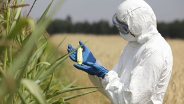 76821341Ventajas-de-los-alimentos-transgenicos-3