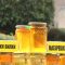 76883480honey_in_scool