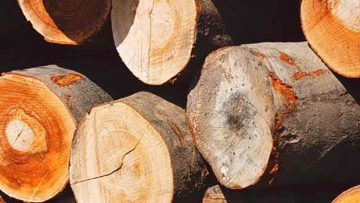 77062666top_wood