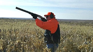 773820116540845_BG1