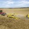 77648183bednar-caseih-JwwR_jpgw600codeA799