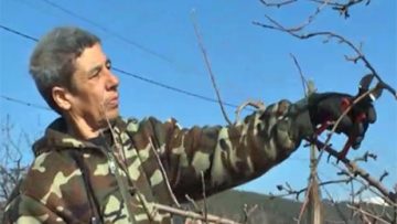 79055481agrotema_20_02_2018