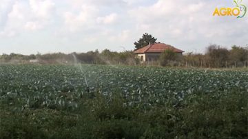 79771408vodna_strategia