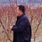 Новина плюс: Студът засегна овошките в Сливенско, автор Валентин Вълчев