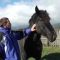 80362617agrotema_kone