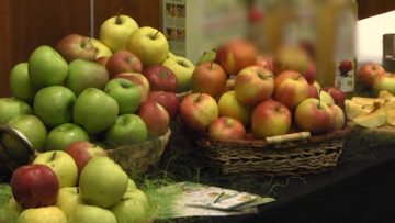 80874964IMG_76649595