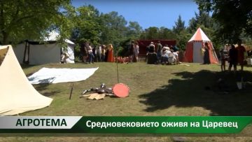 81365382средновековие