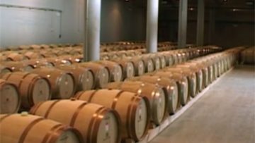 81713275vinoproizvodstvo