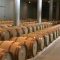 81713275vinoproizvodstvo