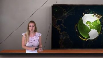 83385848news24