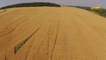 84667275agrotema_07_06_2016