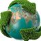 84971665green