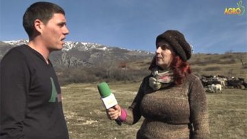85491517jivotnovudstvo