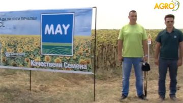 86294349agrobiosemena