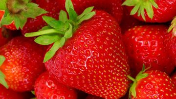 86578733Strawberries_web