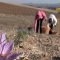 86627236agrotema_21_06_2
