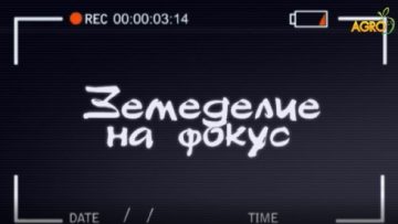 88192424zemedelie_na_fokus2