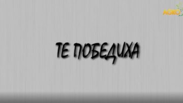 88328335te_pobediha
