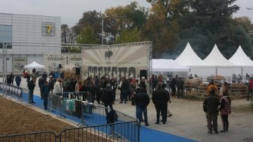 88452228IMG_0171