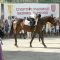 8878812902_Sportnoto_n81_sm