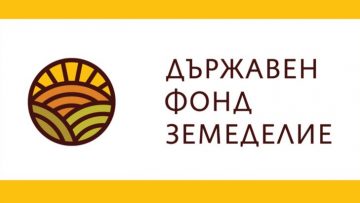88826356DFZ-logo-1200×675-730×411