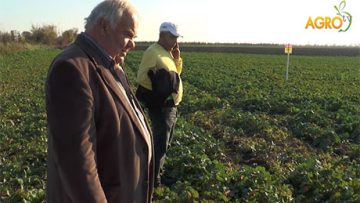 88902095Kosad_Bojurovo