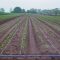 89251283napojavanwe2