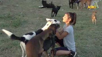 89521994priut_bulgarian