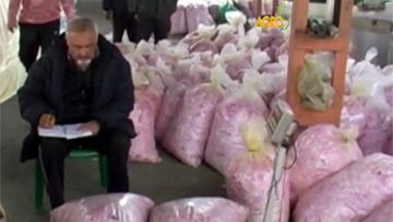 89683836dogovo_za_edin_den