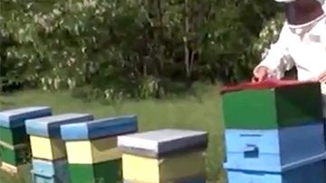 90429042emisia_14_08_2018