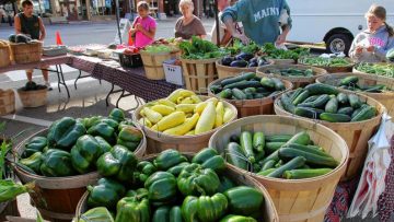 9076636farmproduct