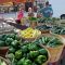 9076636farmproduct