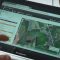 Интелигентно организиране на работния процес със софтуерите GeoSys Farmsat Solutions и 365 Farm Net