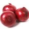 91356998Allium_cepa