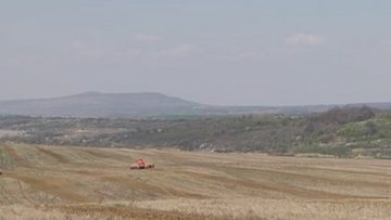 92048675farm