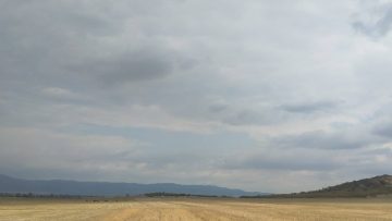 92531818prognoza