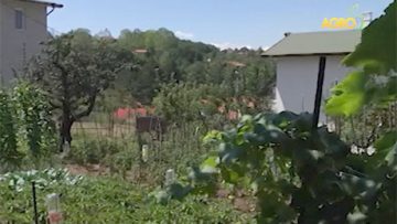 92671684home_garden