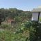 92671684home_garden